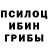 Псилоцибиновые грибы Magic Shrooms Sanya Manichev