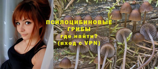 дмт Аркадак